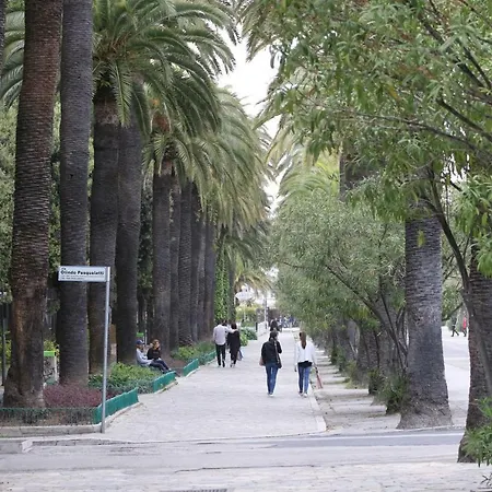 아파트 L'arazzo *